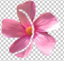 ���ʹ��Adobe Photoshop CS6����gif�Ӯ���