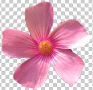 ���ʹ��Adobe Photoshop CS6����gif�Ӯ���