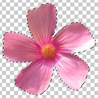 ���ʹ��Adobe Photoshop CS6����gif�Ӯ���