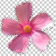 ���ʹ��Adobe Photoshop CS6����gif�Ӯ���