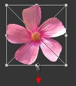 ���ʹ��Adobe Photoshop CS6����gif�Ӯ���