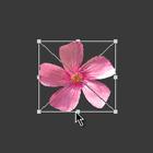 ���ʹ��Adobe Photoshop CS6����gif�Ӯ���