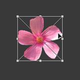 ���ʹ��Adobe Photoshop CS6����gif�Ӯ���