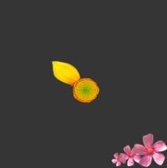 ���ʹ��Adobe Photoshop CS6����gif�Ӯ���