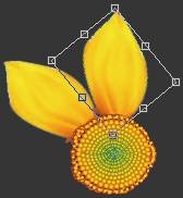 ���ʹ��Adobe Photoshop CS6����gif�Ӯ���