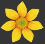 ���ʹ��Adobe Photoshop CS6����gif�Ӯ���