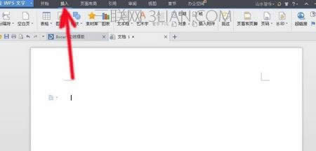 wps������ô������