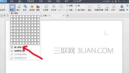 wps������ô������