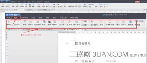 WPS����ƴ����ע�̳�