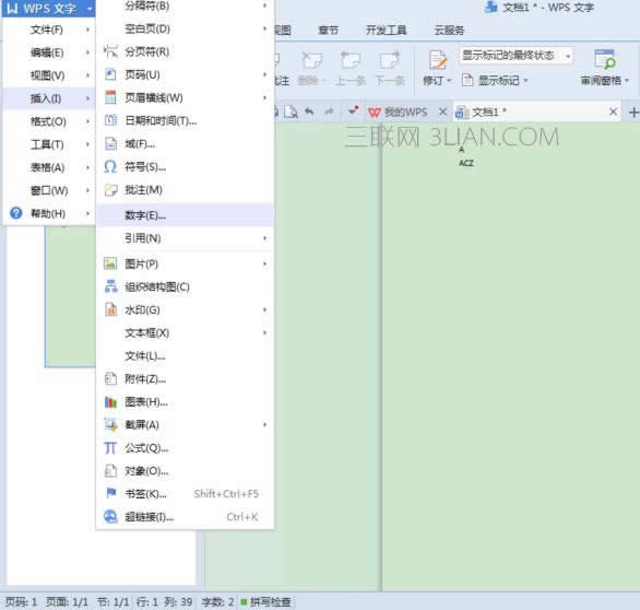 wps�������������Ӕ��־�̖