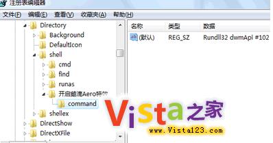 P]_Vista AeroЧĿݷʽ