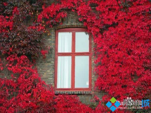 win8Ѹ{DƬС|win8\îDĈDƬСk