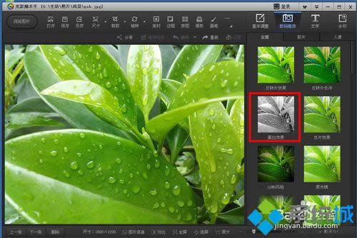 win8ϵy\ùӰħgܛɫDƬ׃ڰ׈DƬk